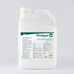 Vivalgue UAB