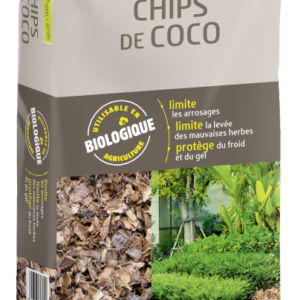 Chips de Coco