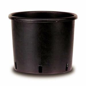Container 1.2L
